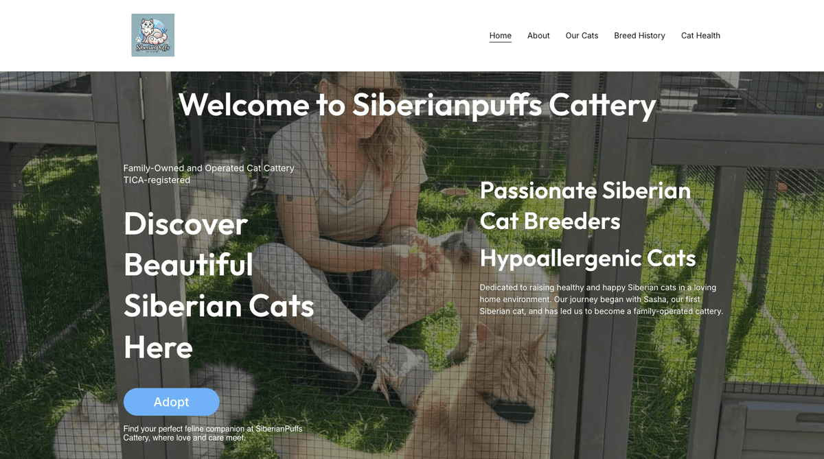 WordPress Websites