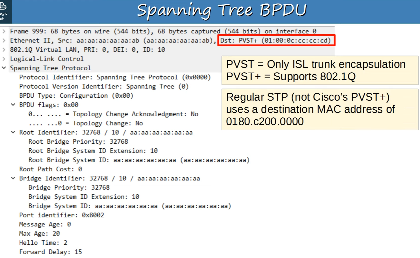 STP Timer
